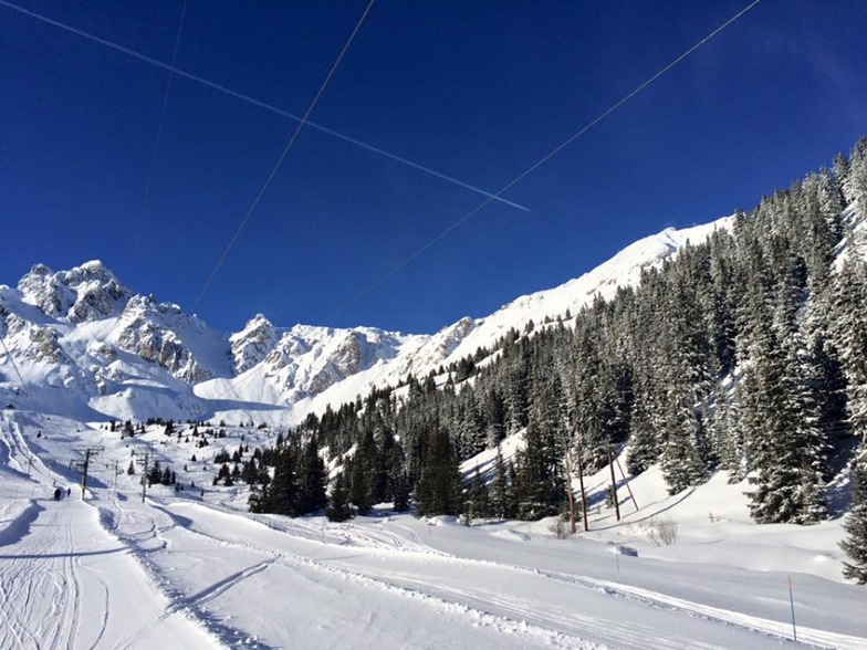 Courchevel Bowl