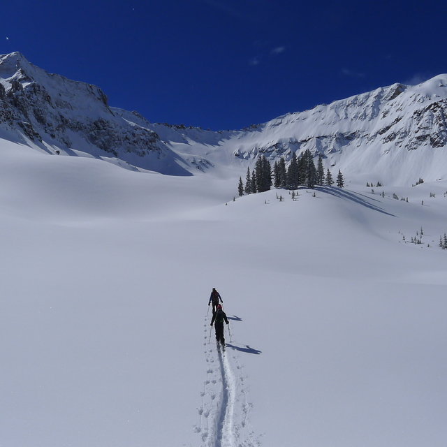 Serenity in snow, Rocky Mountain