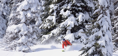 Whitewater Ski Resort by: Kenneth Roy