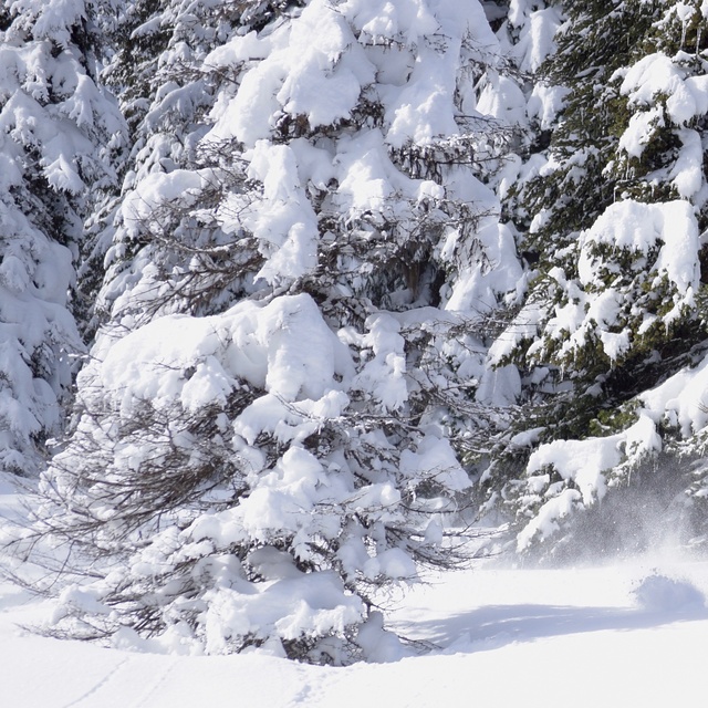 Telemarking fun., Whitewater