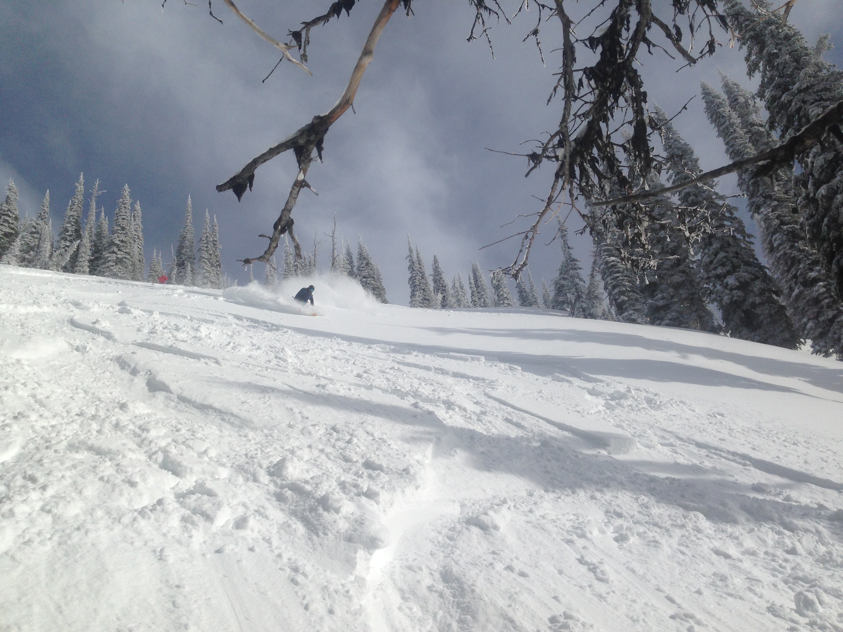Big powder turns, Selkirk Powder