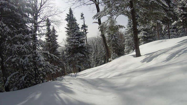 Immaculate powder, Ski La Reserve