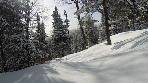 Ski La Reserve  Справочник по курорту