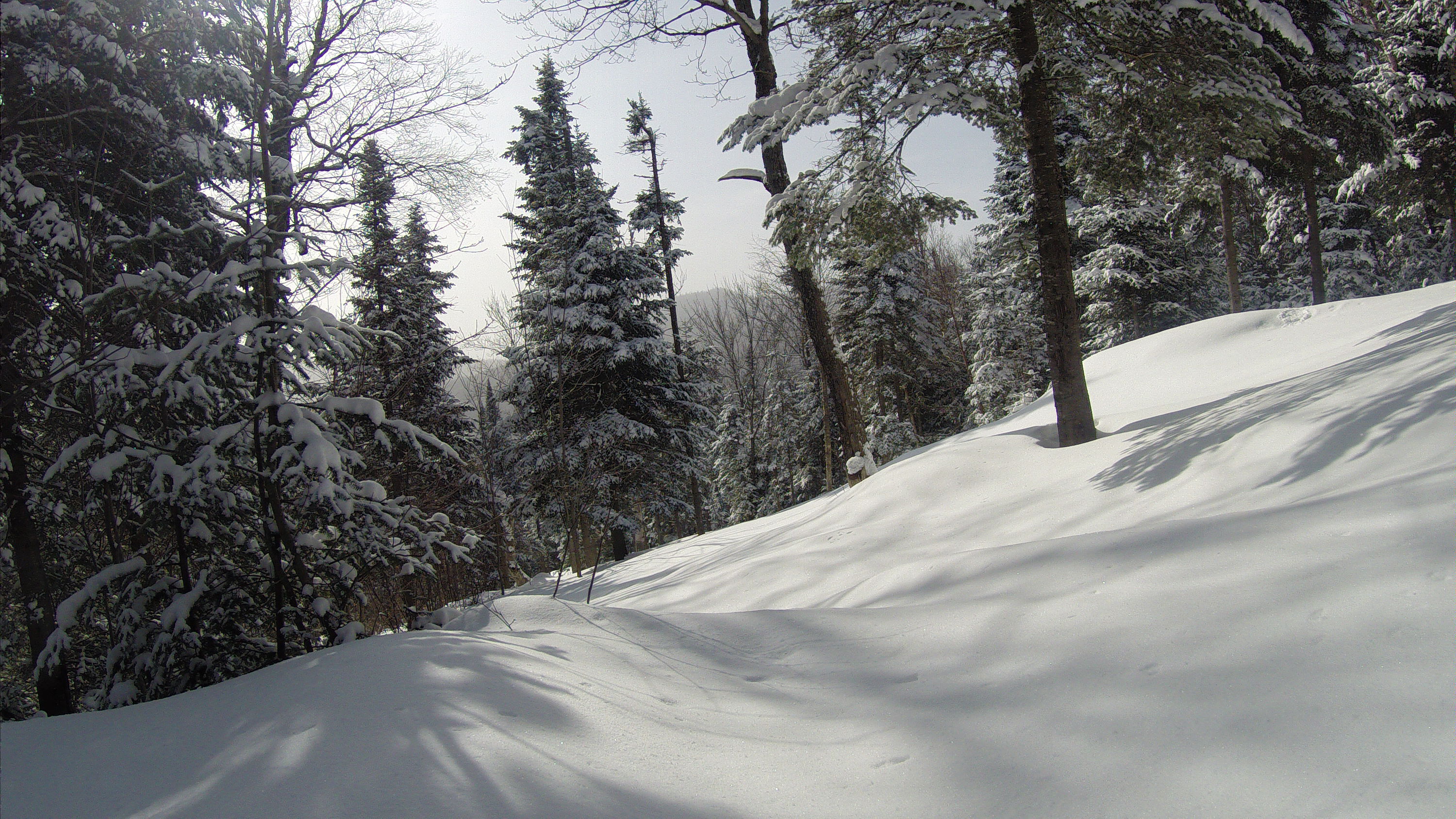 Immaculate powder, Ski La Reserve