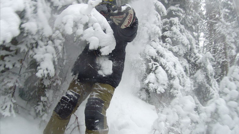 Forest ski, Ski La Reserve