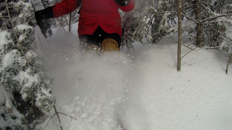 Forest ski II, Ski La Reserve