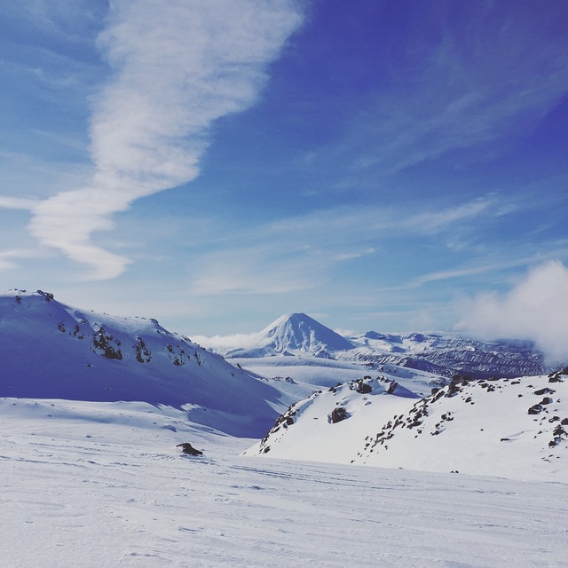 NZ Winter Beauty, Tukino