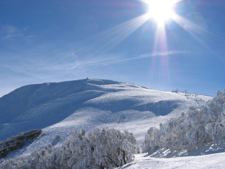Mt Buller Sunshine, Mount Buller
