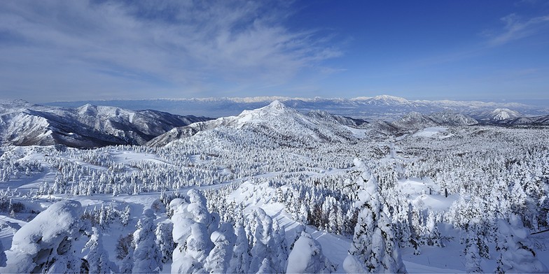 kasa Shigakogen, Shiga Kogen-Yokoteyama