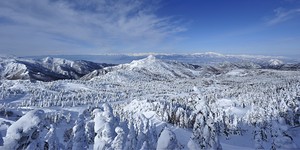 kasa Shigakogen, Shiga Kogen-Yokoteyama photo