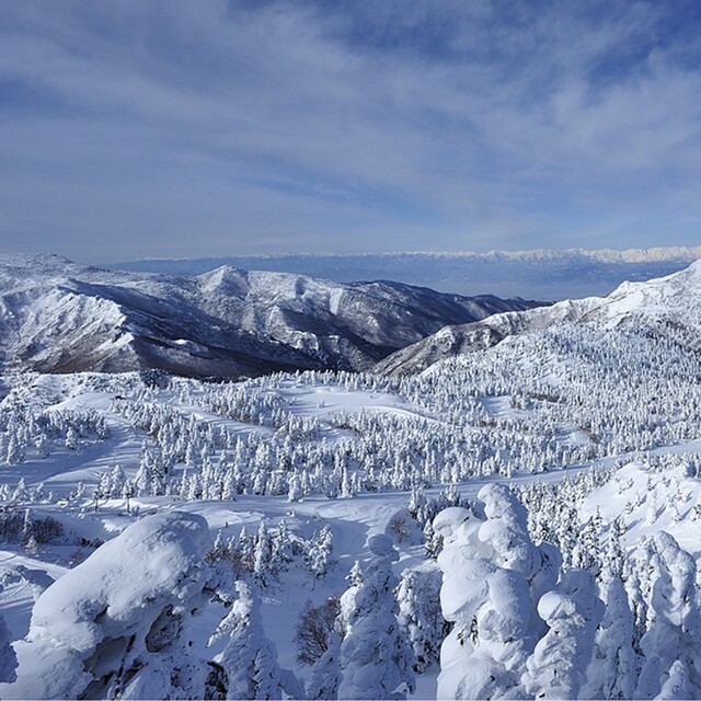 kasa Shigakogen, Shiga Kogen-Yokoteyama