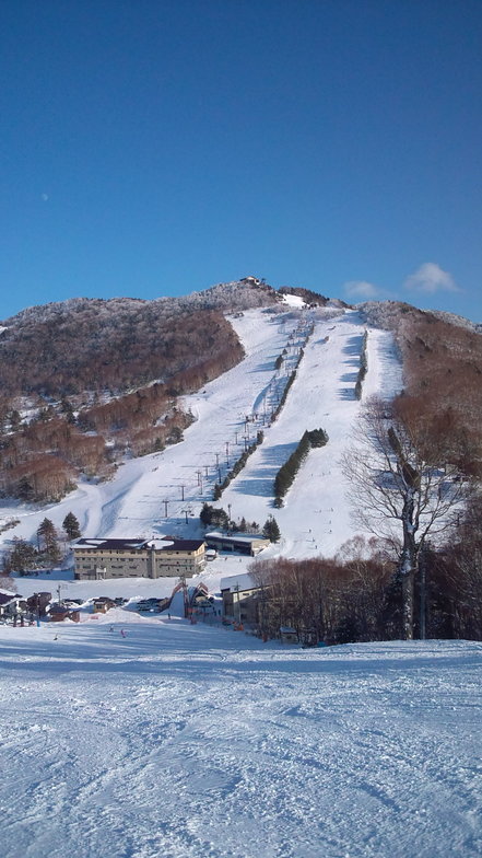 Shiga Kogen-Takamagahara Mammoth