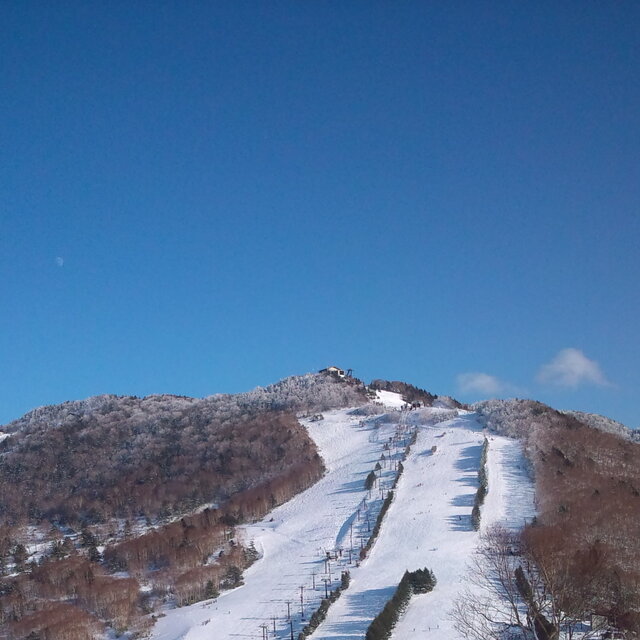 Shiga Kogen-Takamagahara Mammoth