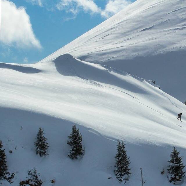 Sinaia Snow: Fresh Lines