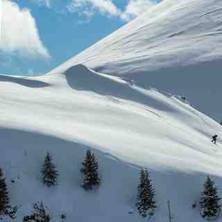 Fresh Lines, Sinaia