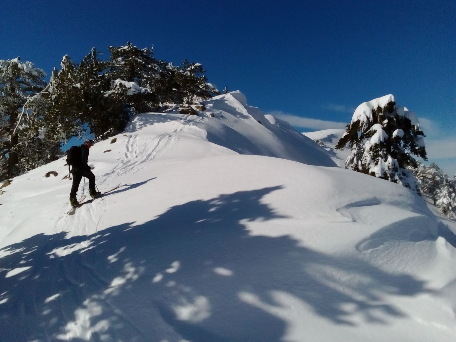 ascending, Vasilitsa