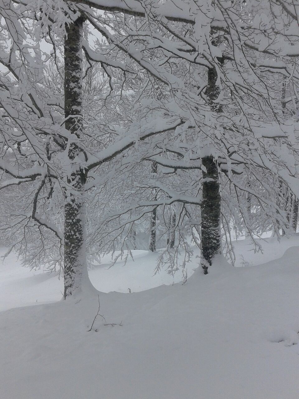 Nordic ski in Candanchu