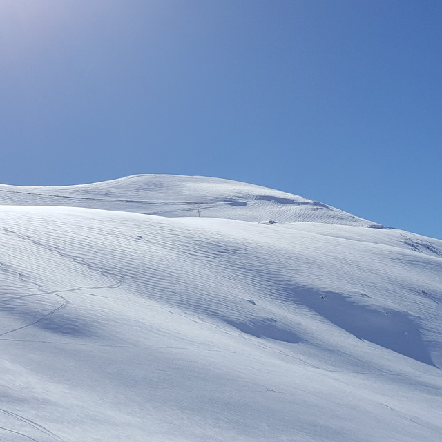 Cedars Snow: The Cedars 