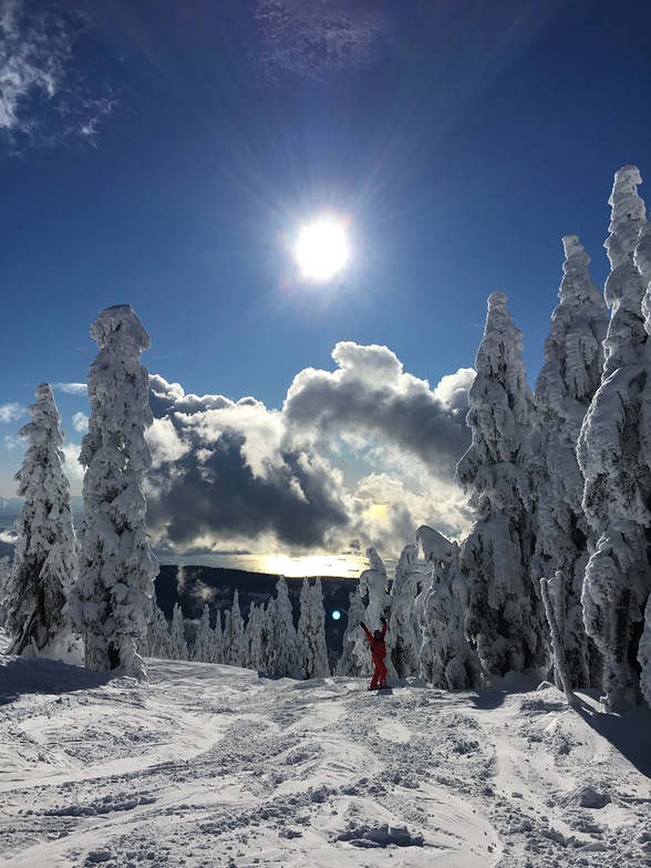 from sky chair, Cypress Mountain