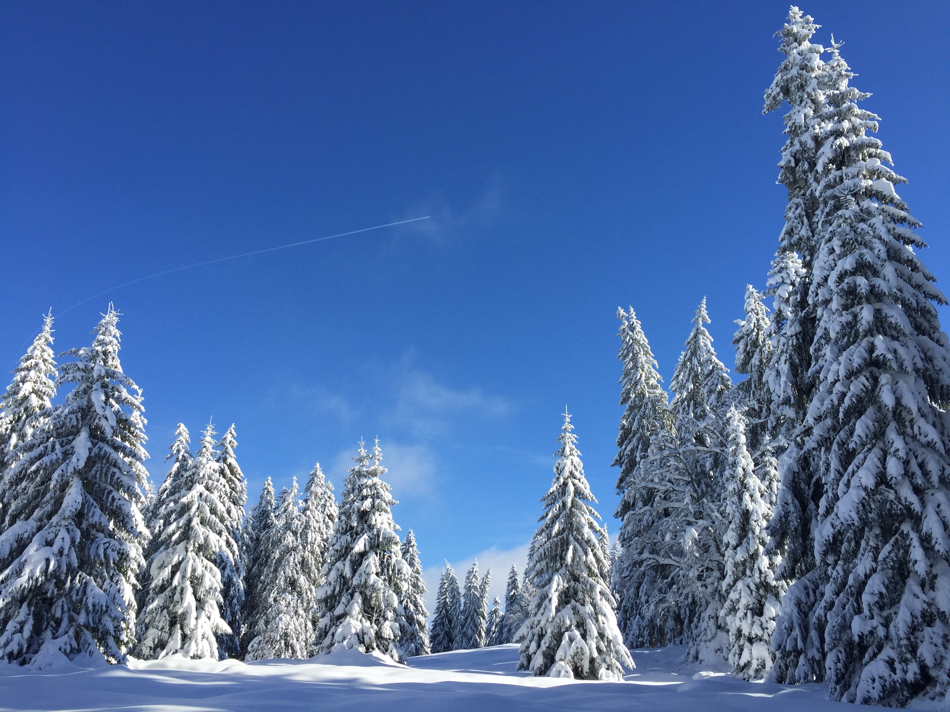 Jura snow, La Dôle