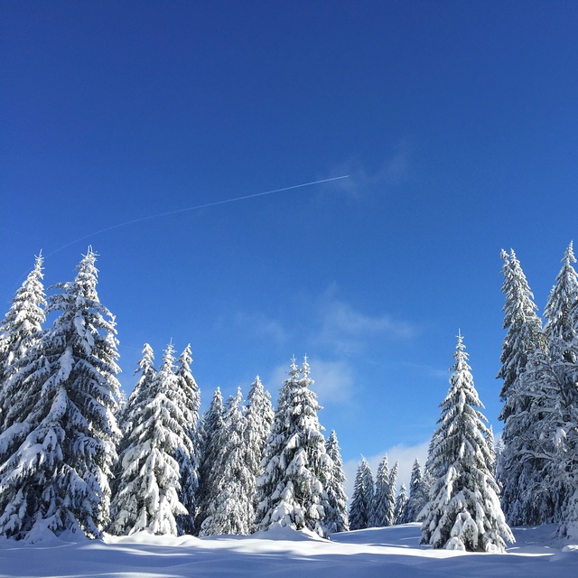 La Dôle Snow: Jura snow
