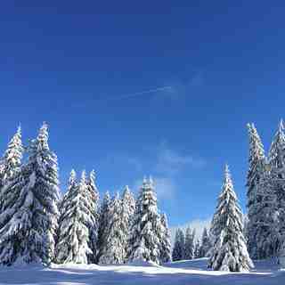 Jura snow, La Dôle