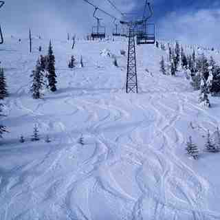 Nice dusting of snow, Baldy Mountain Resort