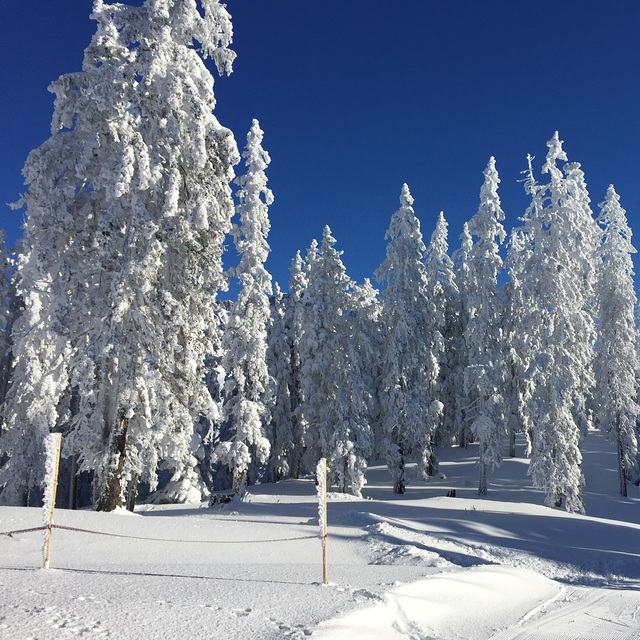 Powder Blue, Hochkönig