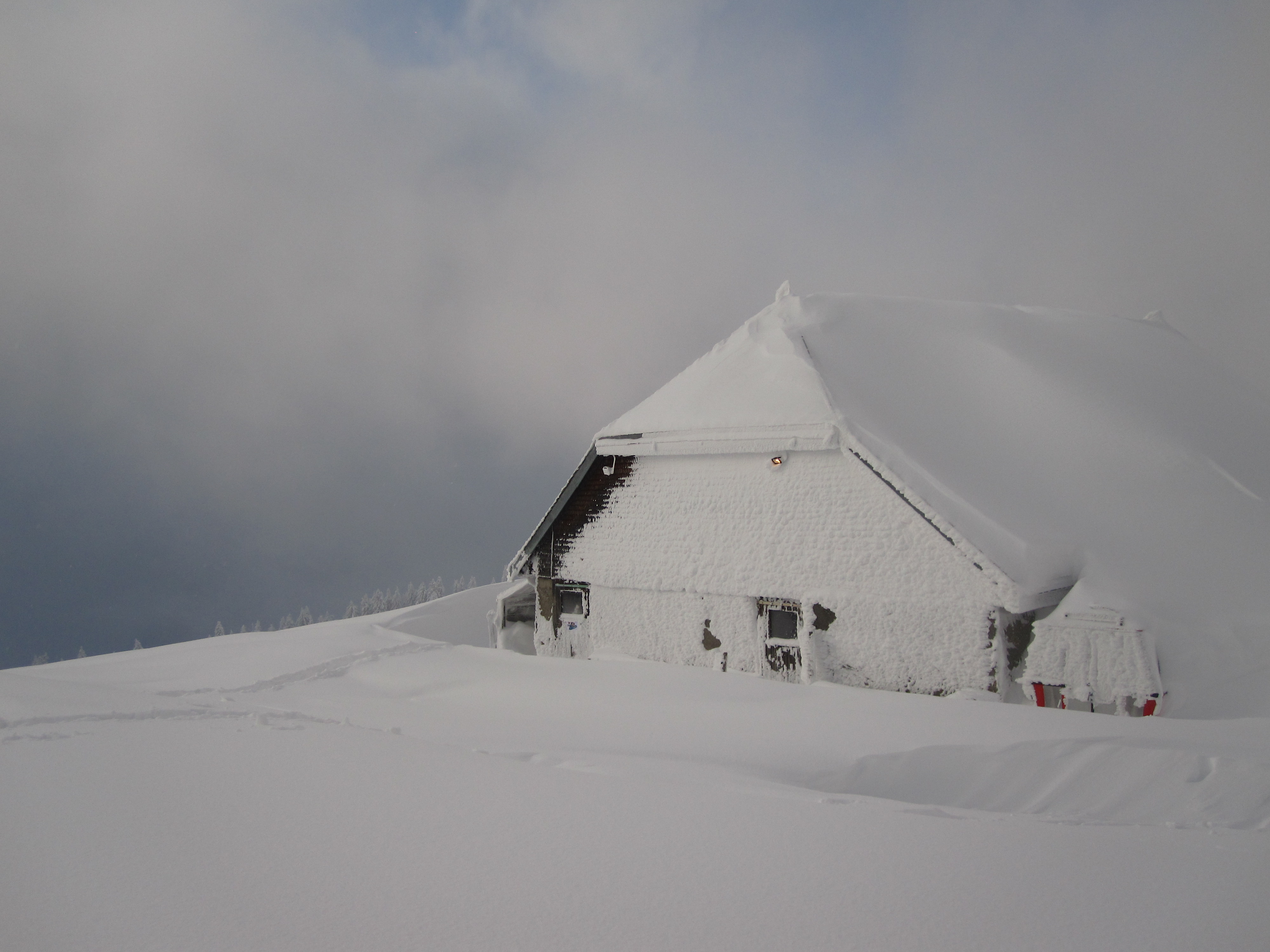 verzuckert, Ebnat-Kappel - Toggenburg