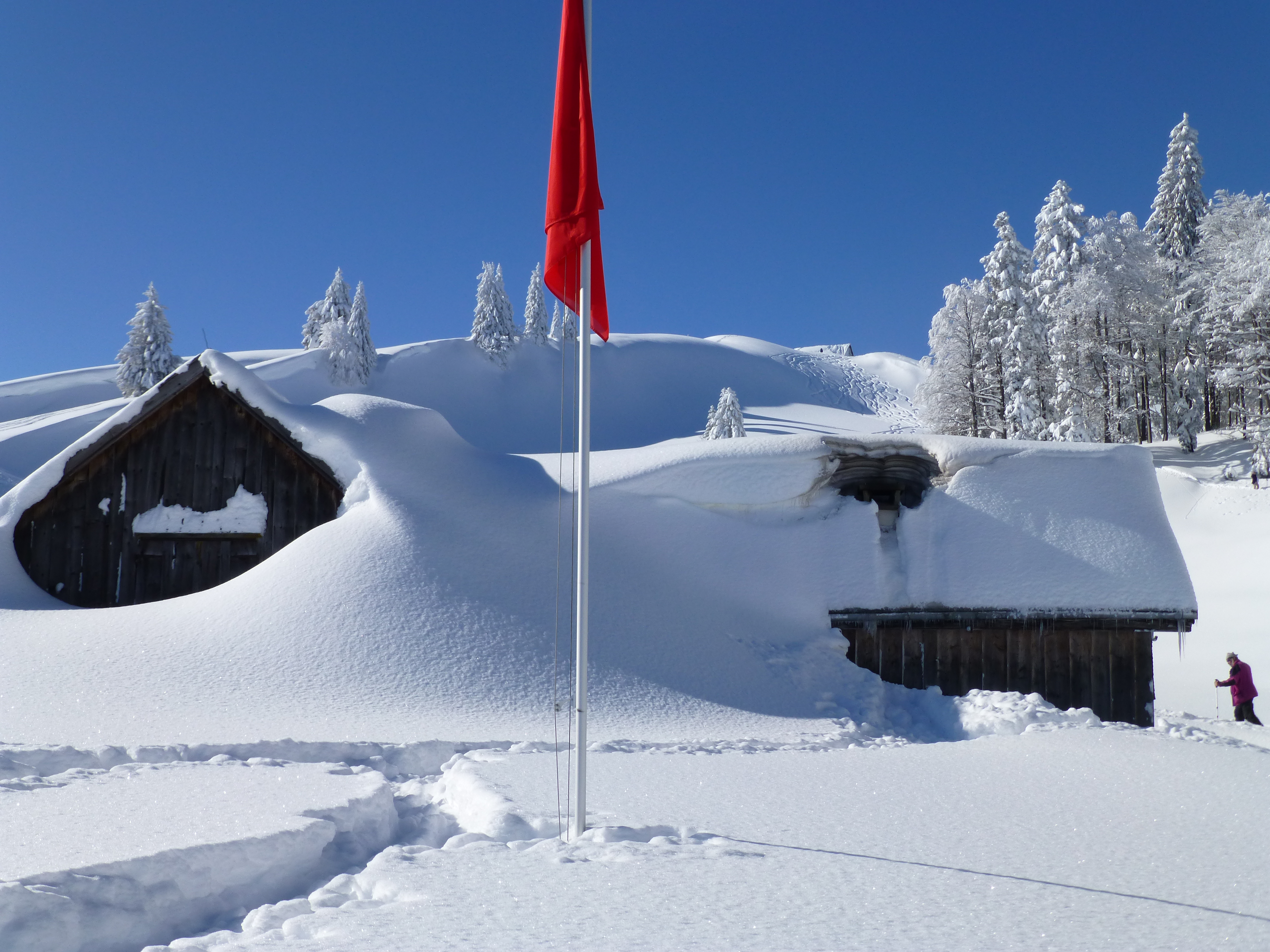 Buechschlittli, Ebnat-Kappel - Toggenburg