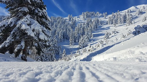 Mainalo Ski Resort by: Fotis Georgakopoulos