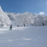 Snow in Mont SUTTON, Canada - Quebec