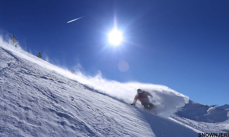 The brutal day, Brezovica