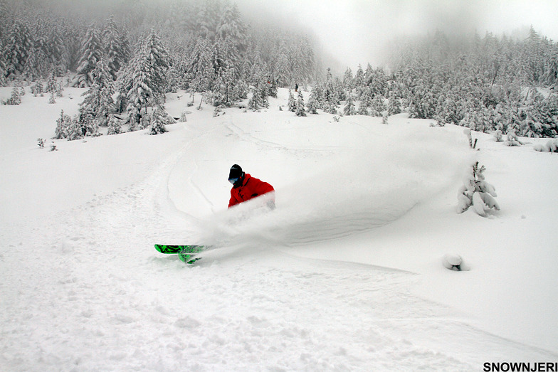 Hamdi Hisari, Brezovica