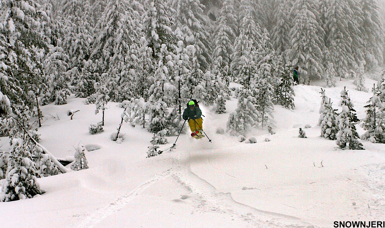 Ardian Bakalli, Brezovica