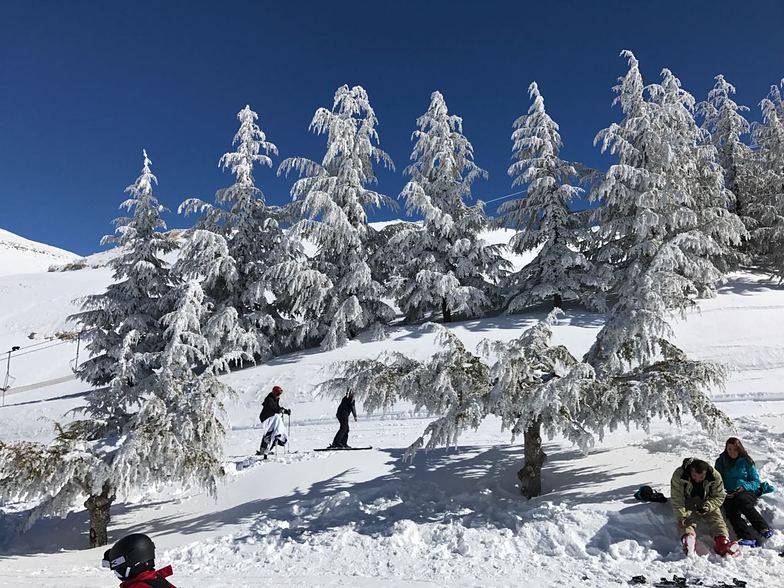 Cedars, Mzaar Ski Resort