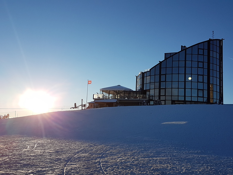 The Kuklos, Leysin