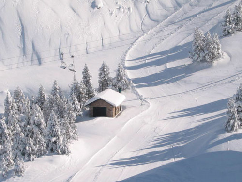 Masella