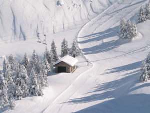 MASELLA powder dump photo
