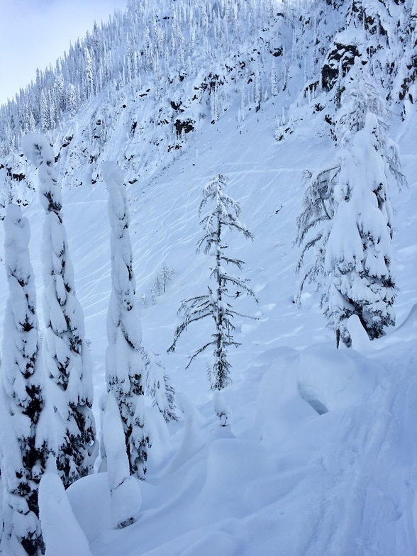 Whitewater Resort / Catch Basin Shred Day