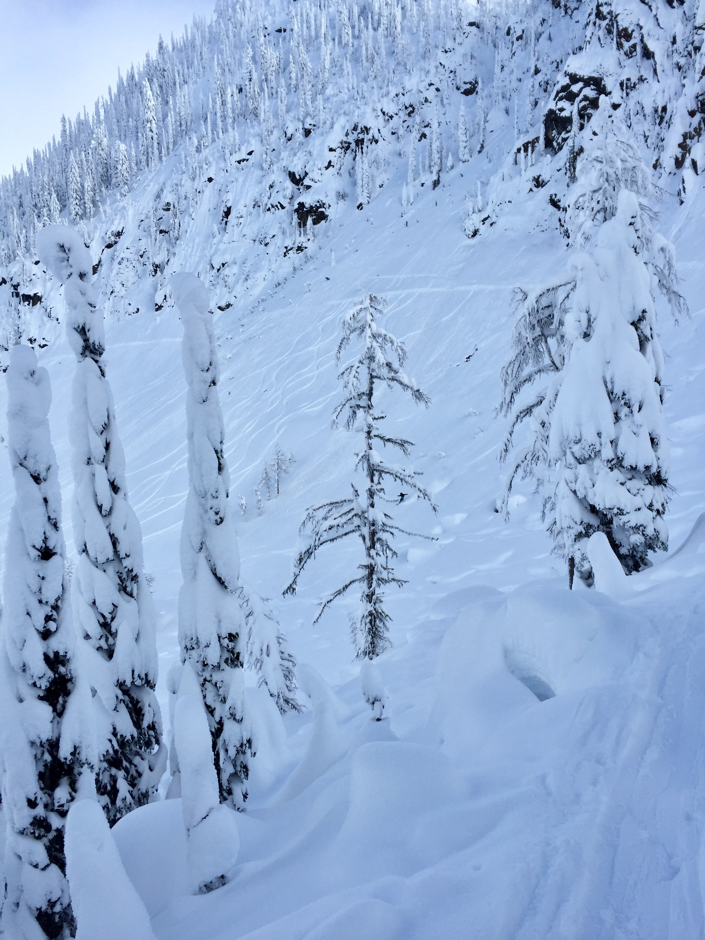 Whitewater Resort / Catch Basin Shred Day