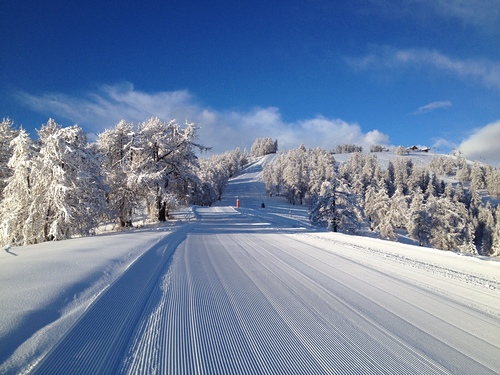 La Colmiane Ski Resort by: ben