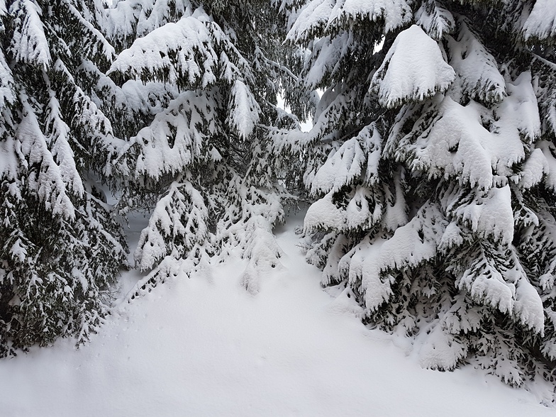 Snowfall 2, Leysin