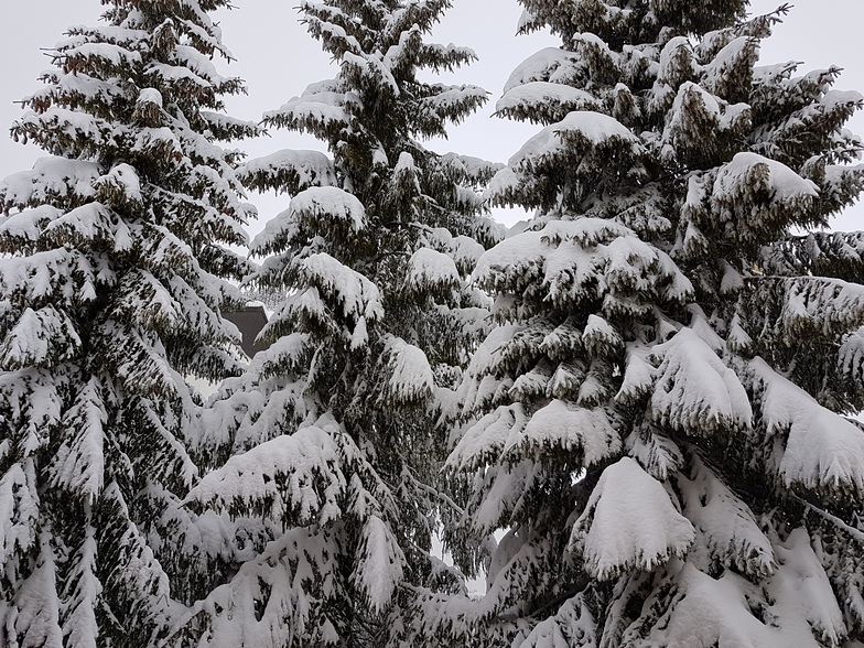 Snowfall 1, Leysin