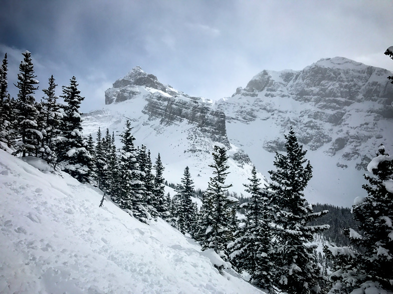 Norquay Snow, Banff Mt Norquay