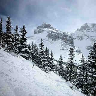 Norquay Snow, Banff Mt Norquay