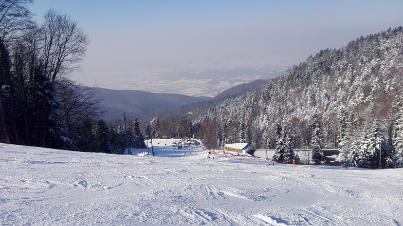 Sljeme-slalom medow