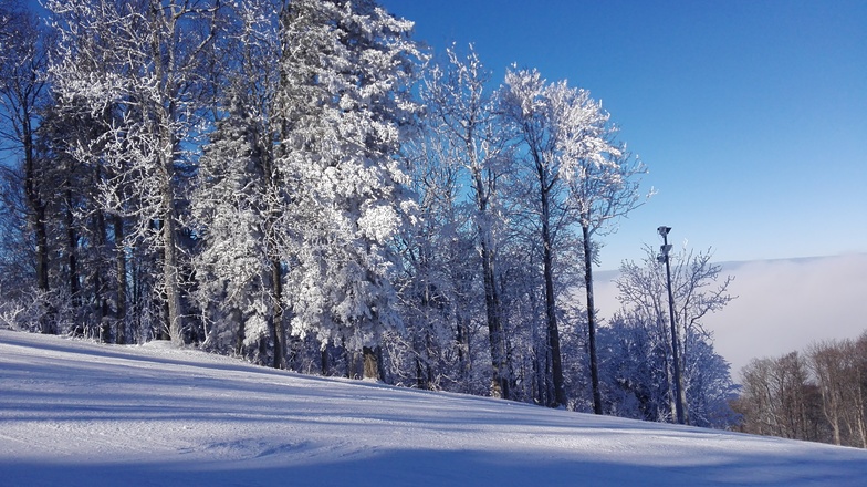 Sljeme-beginning of the red slope