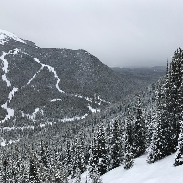 Banff Mt Norquay Snow: Mt. Norquay