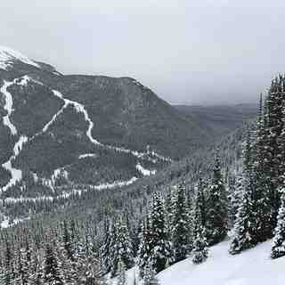 Mt. Norquay, Banff Mt Norquay